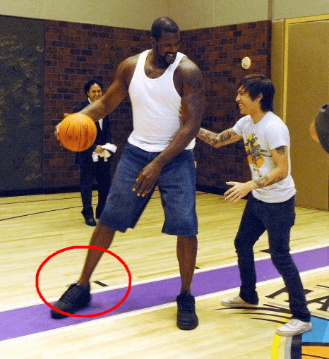 投球端的毫 投球端的毫